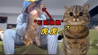 [問卦] 貓貓遇到變態鏟屎官該如何是好呢？