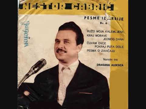 Nestor Gabric -  Cuvam ovce pokraj puta dole