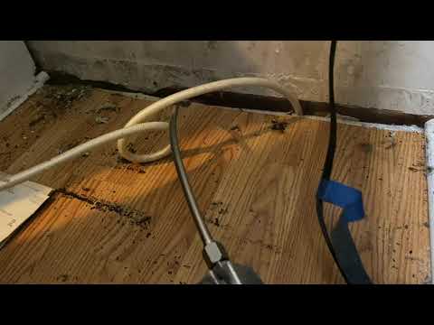 Home Getting Ravaged by German Cockroaches in Beachwood, NJ