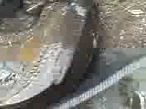 Gerwin karper op Loven Someren 03/06/2009  20:00