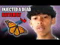 The Insane Crimes Injuries And Deaths Of Influencers