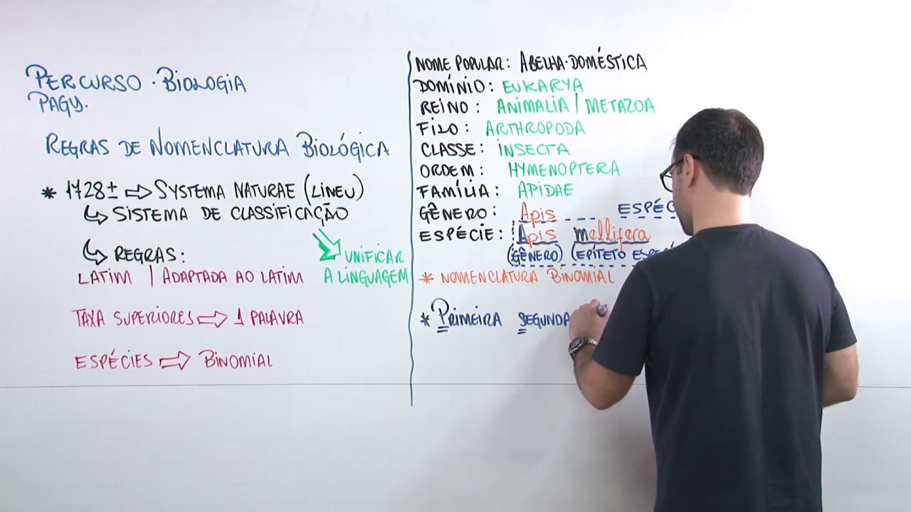 Biologia - Classificação dos Seres Vivos - Regras de Nomenclatura - Prof. Pagy