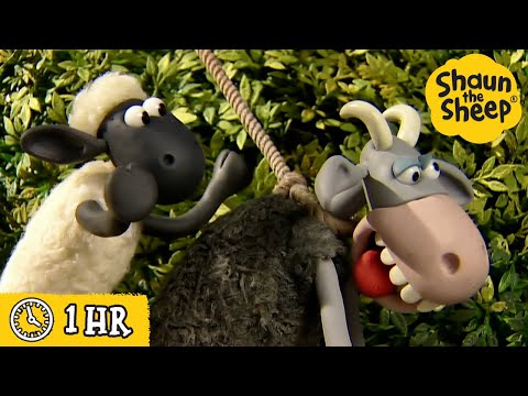 Shaun the sheep Mp4 3GP Video & Mp3 Download unlimited Videos Download - Shaun the sheep Mp4 3GP Video & Mp3 Download unlimited Videos Download -