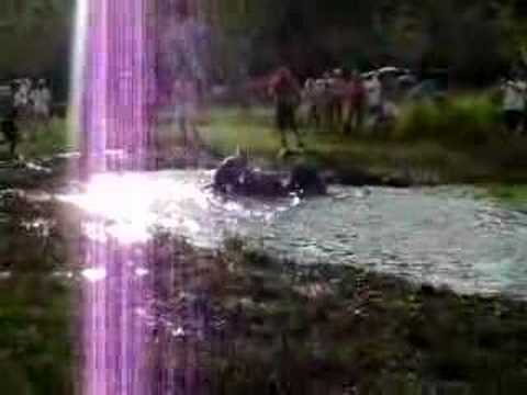 Páscoa em Palmeiras (SABONETE NA LAMA)