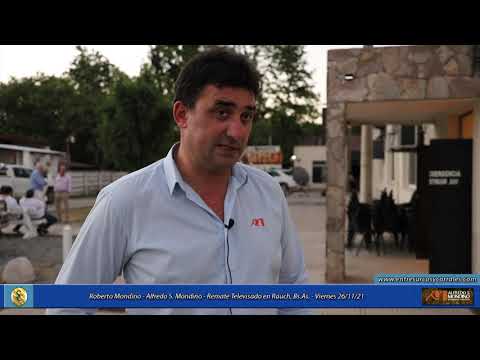 26-11-21 - Roberto Mondino - Alfredo S. Mondino - Remate Televisado en Rauch, Bs.As.