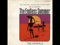 The Sandals - Theme from Endless Summer 