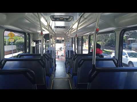 Forest Coach Lines - 6423 - Mercedes 0500LE/CC CB80 Series 2[Terrey Hills](270 - Terrey Hills)