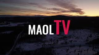 Vintertäckt skog i skymning