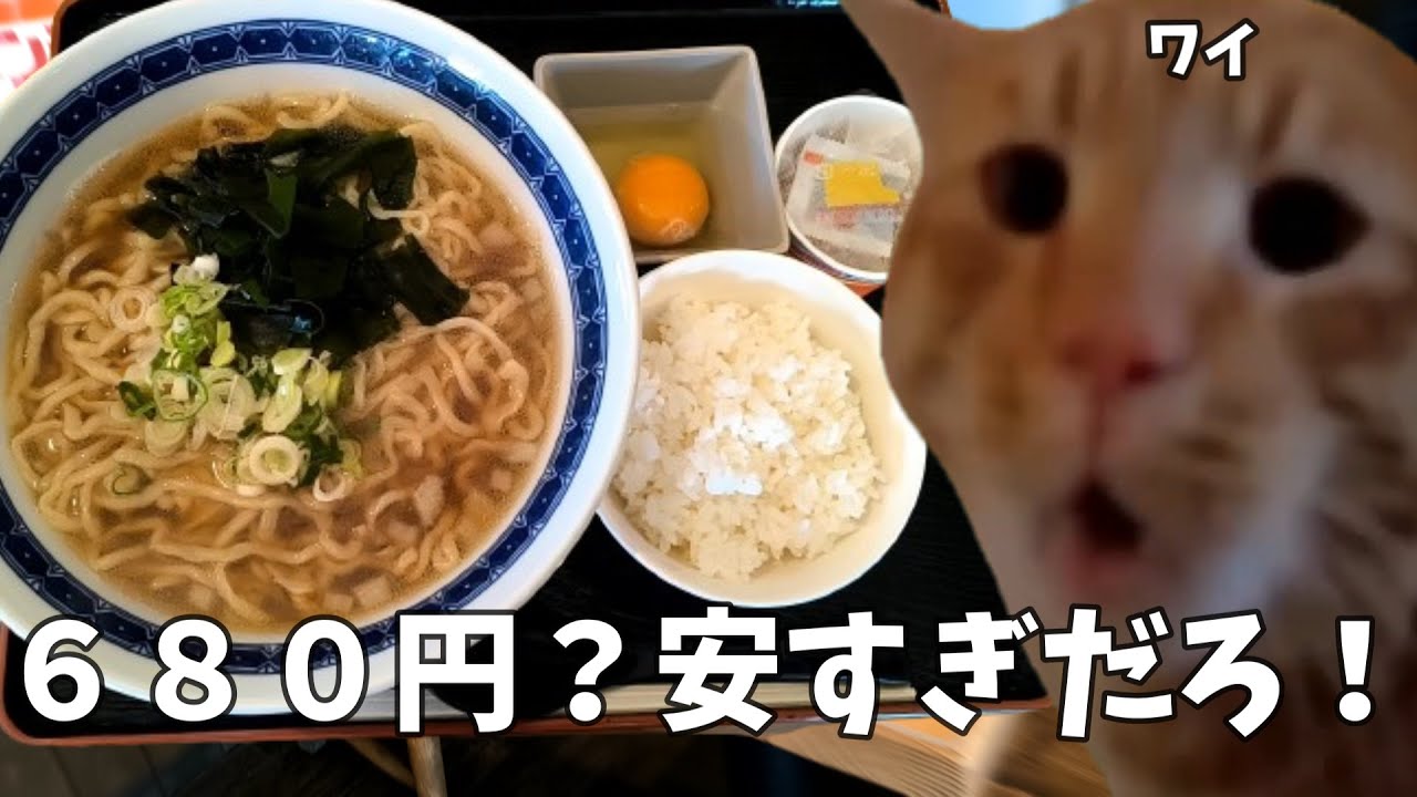 【マタタビ商店】朝ラーセット６８０円！？大満足だよ！という話【ラーメン】#猫ミーム #猫マニ