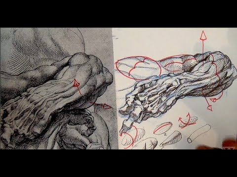 Pen and Ink Drawing Tutorials | Cross hatching and shading tips from Peter Paul Rubens