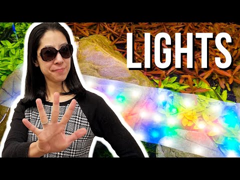 5 Things I Wish I Knew About Planted Aquarium Lighting