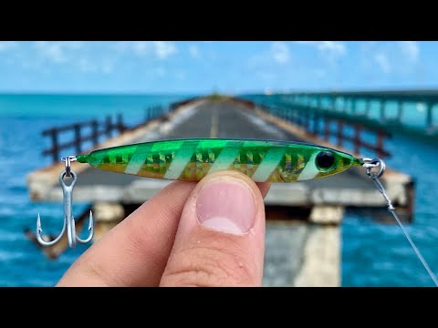 Multi-Species Fishing & Camping the Florida Keys