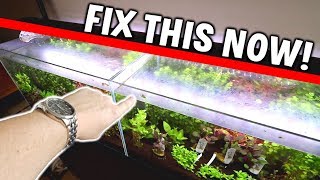 Do NOT Let This Happen To YOUR Aquarium!