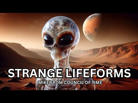Mike From COT, Strange Lifeforms 11:26:25