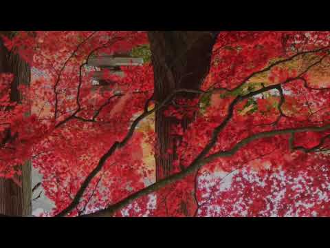 Mattia Cupelli - In That Smile REMASTERED