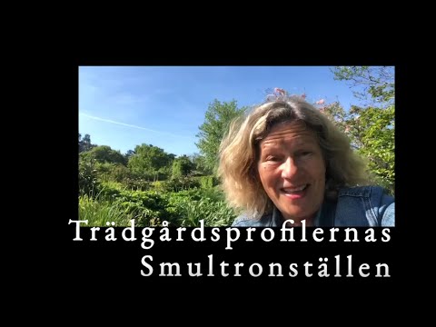 Gunnels smultronställe