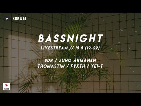 Bassnight Stream #2 (House)