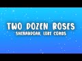 Shenandoah Luke Combs Two Dozen Roses Lyrics