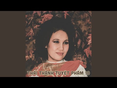 Đêm ngắn tình dài - Thái Thanh