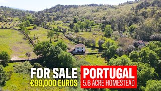 5.6 Acre Homestead FOR SALE Celorico da Beira, Guarda (Central Portugal - Real Estate)