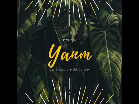 [Pwézik] David Obadja & Malik Duranty - YANM (Mon Péyi) - Clip Officiel