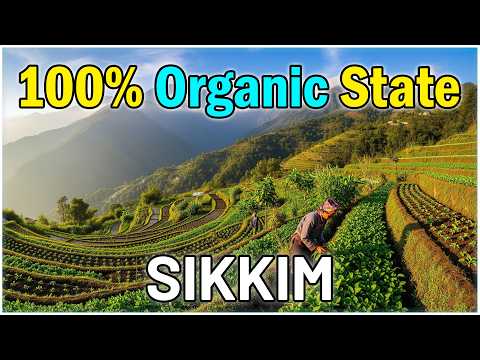 Sikkim Organic Farming Model