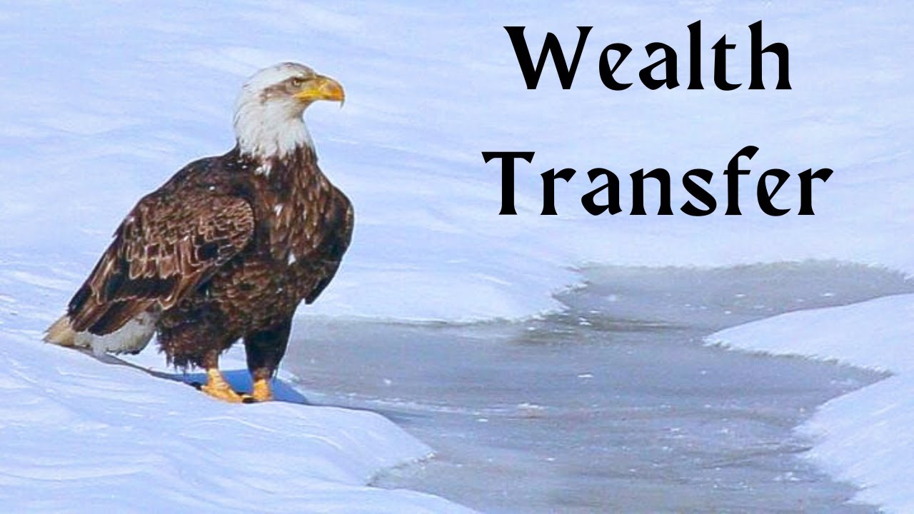 XRP Prophecy: Eagles In The Snow: 7/15/23