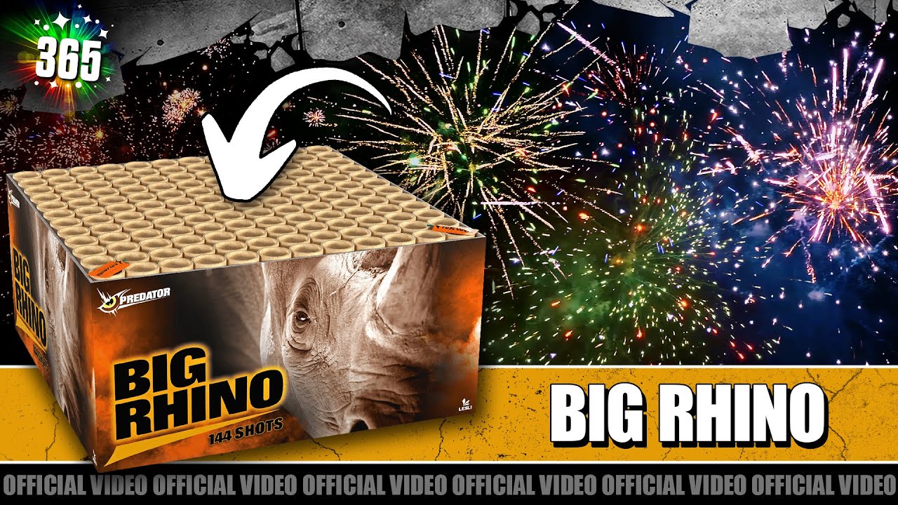 Video Big Rhino