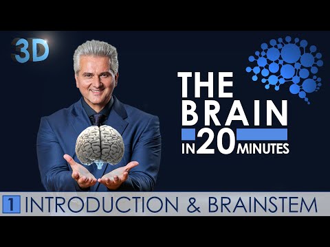 3D - The Brain in 20 minutes - 01 │ Introduction & Brainstem │ Dr. Dr. Damir del Monte │ Encephalon