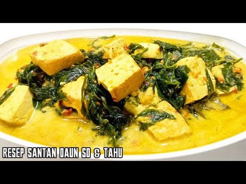 Recipe for Cooking Coconut Milk with Melinjo Leaves and Tofu