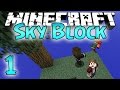 Minecraft: SkyBlock Survival Episode 1 - How To Cobblestone Generator!