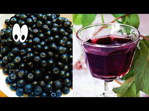 How to make aronia liqueur