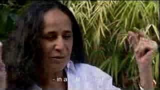 Maria Bethânia: Música é Perfume (2005) Video