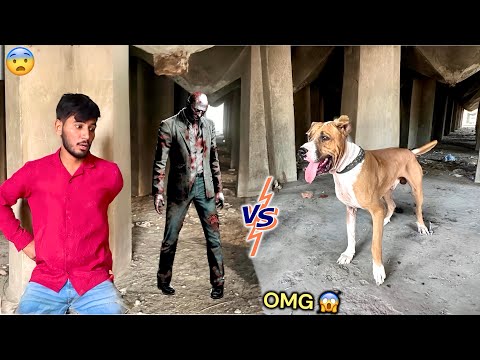 BULLY DOG BADSHAH VS HORROR 😱