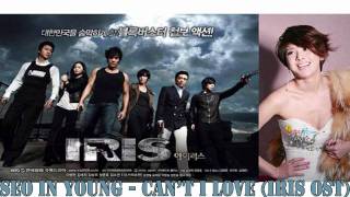 [MP3 DL] Seo In Young - Can't I Love [IRIS OST]