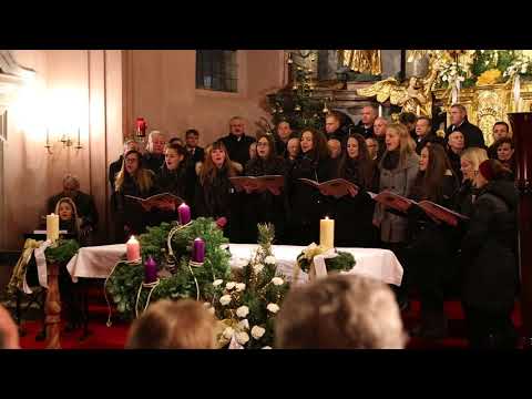 Young Roses - As the deer