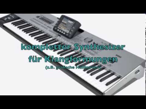 KORG PA3X MUSIKANT - Vogel der Nacht