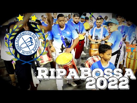 Acadêmicos do Tatuapé 2022 - Desenho dos Ripa Bossa #PioneiroNoVídeoDosBreques