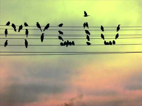 Dblz ft. Gabi and Lanexs- Mintimis atgal