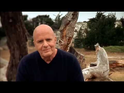 El Cambio. Wayne Dyer (The Shift) 🎬 Película Completa