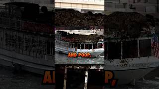 Ep.75 Dave Matthew’s Band poop tragedy! #ninjasarebutterflies #podcast #comedy #sundaycool