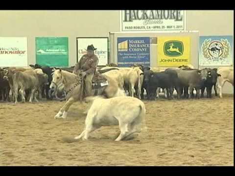 Jennys Spark  Ken Wold Training Stable