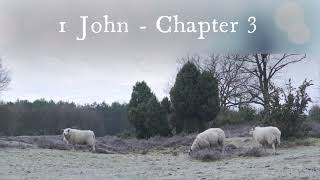 Chapter 3 of the Book of 1 John - New King James Version (NKJV) - Audio Bible