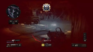 ［bo4］［参加可］迷彩解除の深淵を覗ききった。。。
