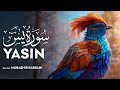 Surah YASIN ️ Quran Recitation 4K Mubashir Rabbani