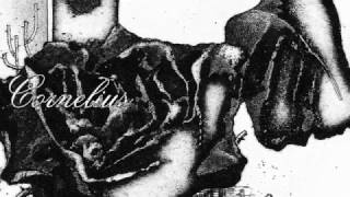 CORNELIUS NEW FIRST SINGLE VINYL RELEASE!!! 「あなたがいるなら」"IF YOU'RE HERE"