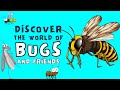 Bugging Out: 10 Amazing Interesting Insects || Insects for Kids || Bugs for Kids
