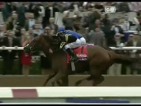 Judy The Beauty Update