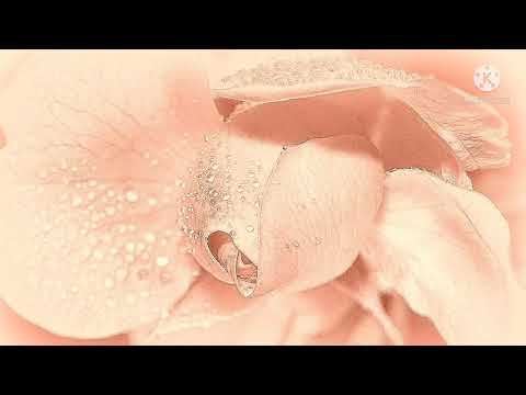 AKMU(악뮤)♧전쟁터(With:이선희)