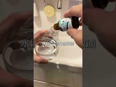 春に植えるべき防虫植物：家から害虫を追い出すトップ5！  庭園